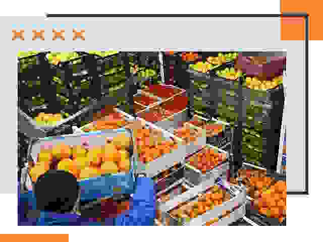 Перевозка скоропортящихся продуктов в Орехово-Зуево